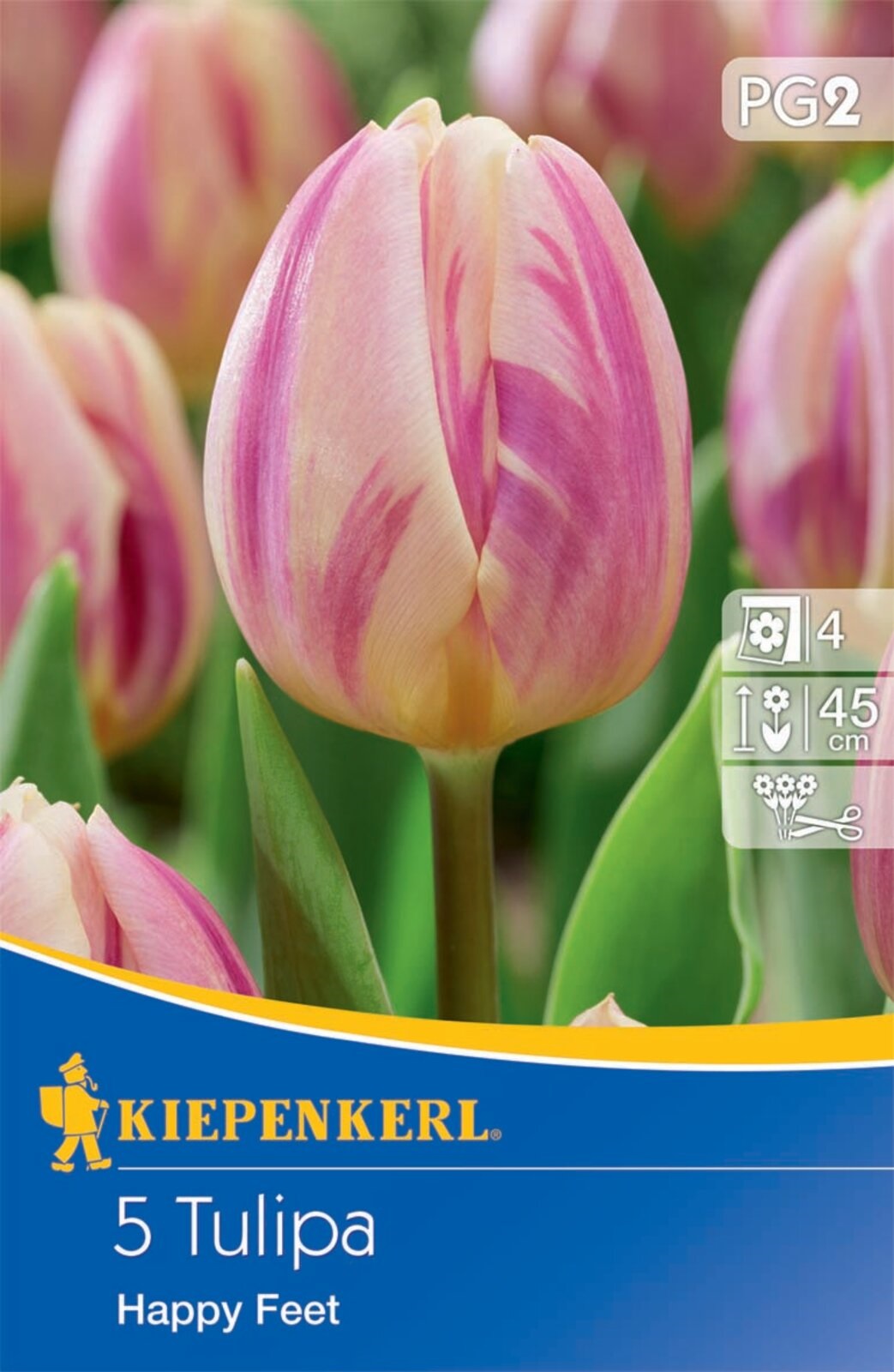 Virághagyma Tulipán Happy Feet 5 db Kiepenkerl