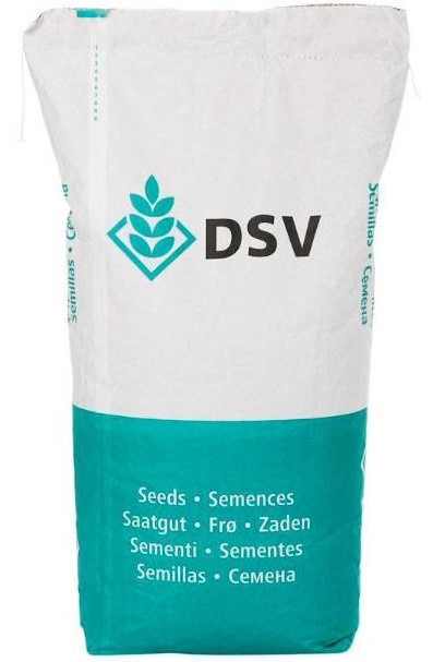 Grass seed DSV Speed Green for top sowing 10 kg