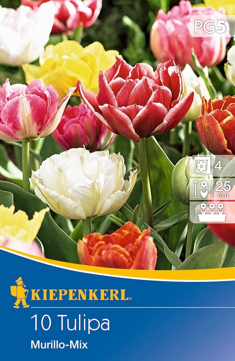 Virághagyma Tulipán teltvirágú Murillo Mix 10 db Kiepenkerl