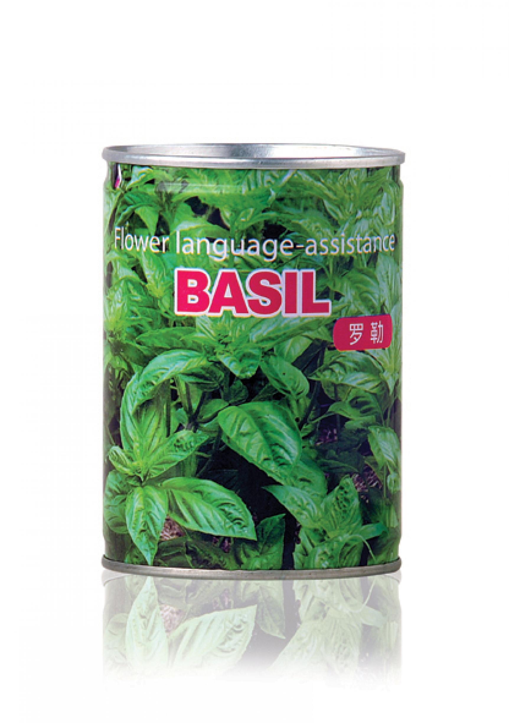 Magic Basil