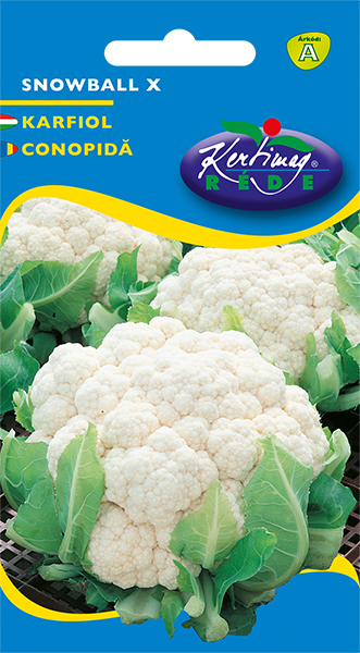 Cauliflower Snowball X 1 g
