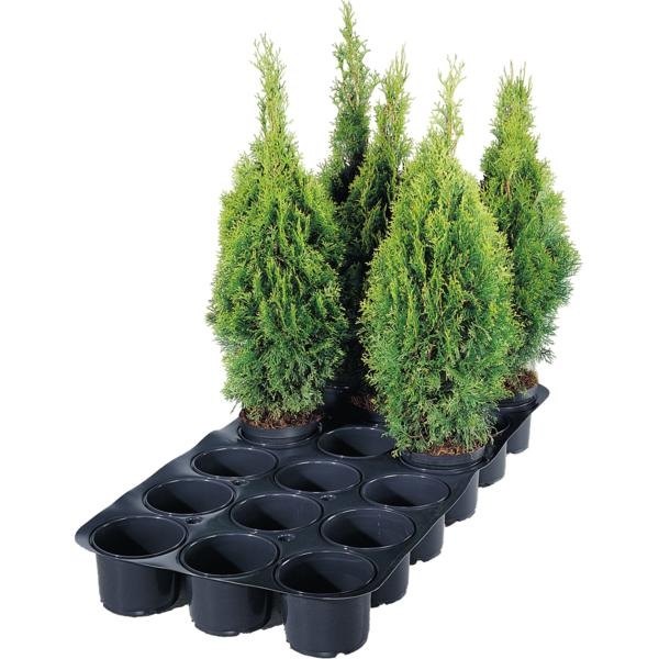 Super tray for 18 pots 19-21 cm