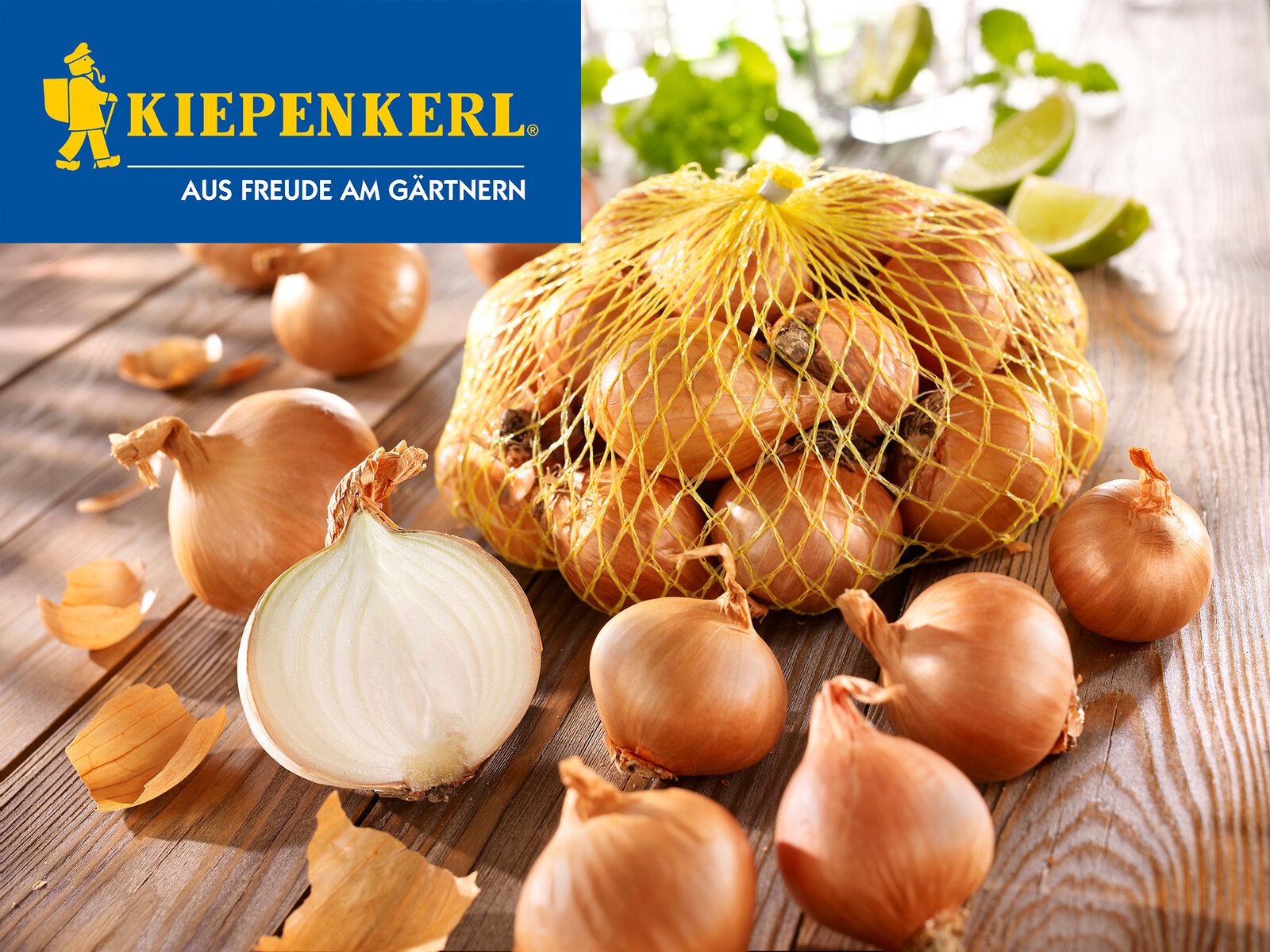 Dughagyma shallots Golden Gourmet Kiepenkerl 500g