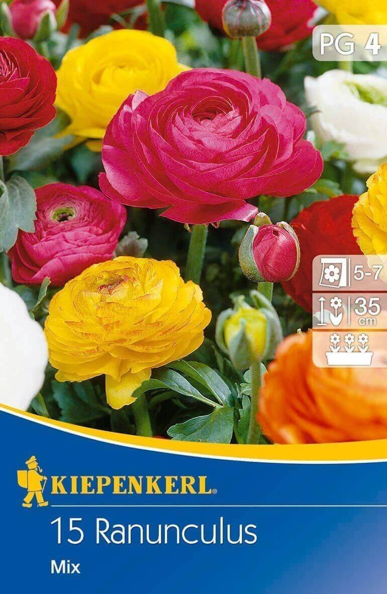 Bulbs Buttercup (Ranunculus) Aviv-Mix 15 pcs Kiepenkerl