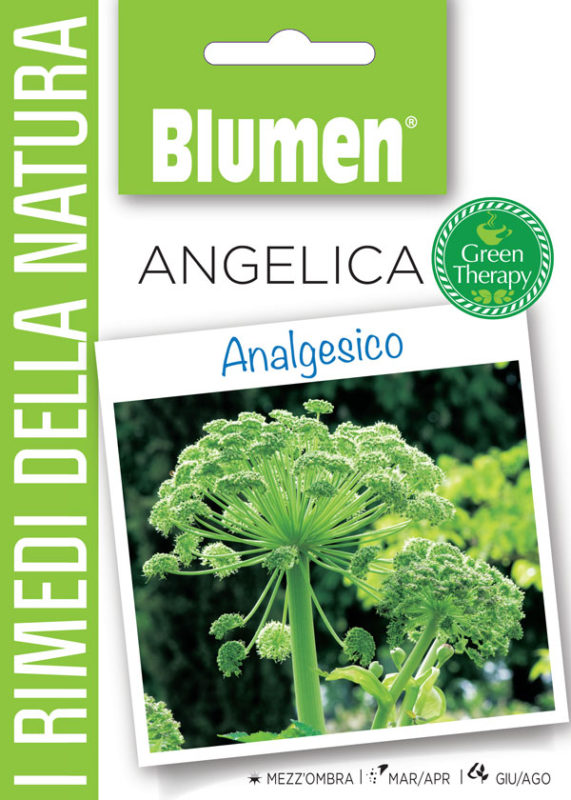 Angelica Wellness for nature 3g