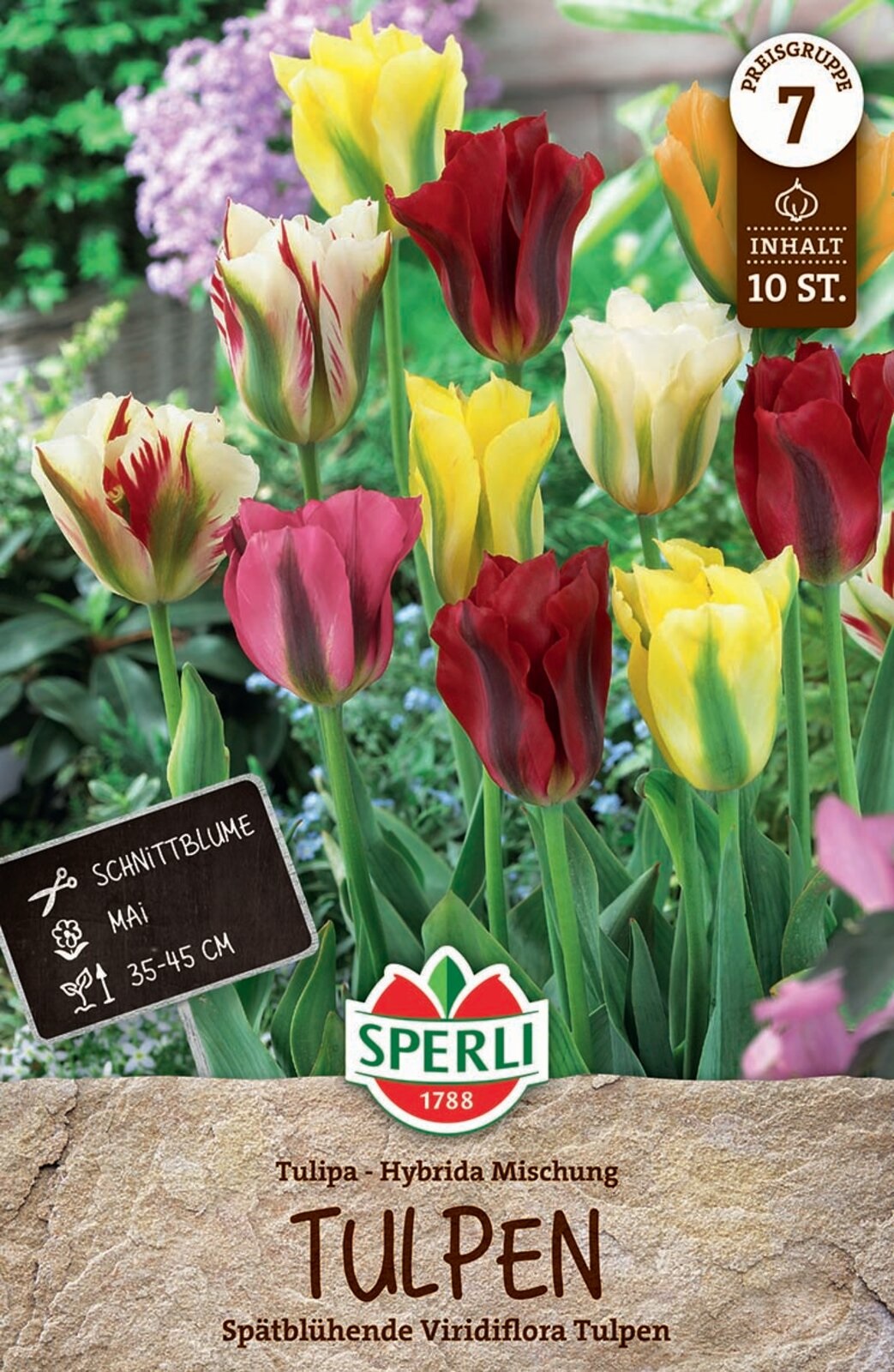 Bulb Tulip colour mix Viridiflora 10 pcs Sperli