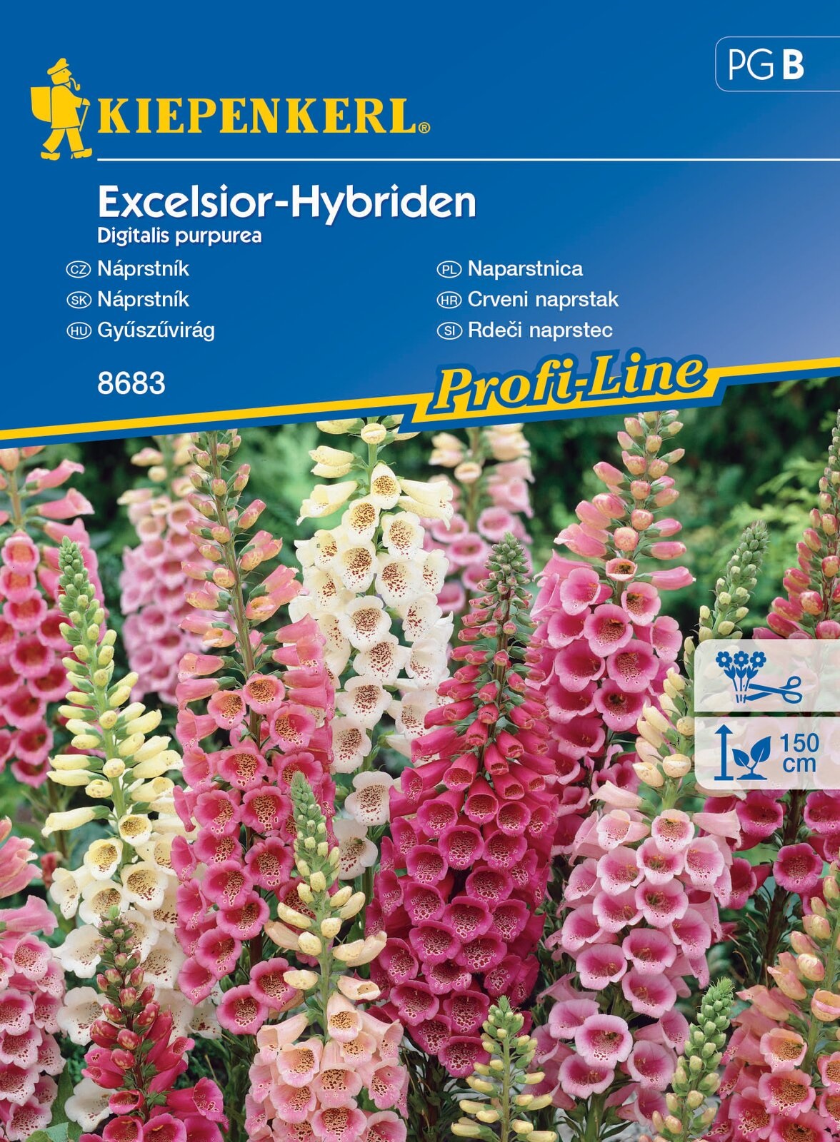 Gyűszűvirág Excelsior-Hybriden 50 szem Kiepenkerl