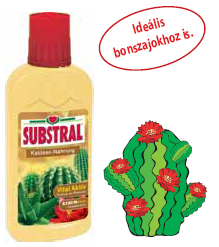 Substral nutrient solution for cacti and possums 0,25 l