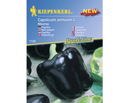 Black pepper Mavras F1 Kiepenkerl 7 seeds
