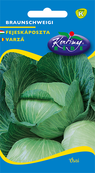 Cabbage Braunschweig 2g