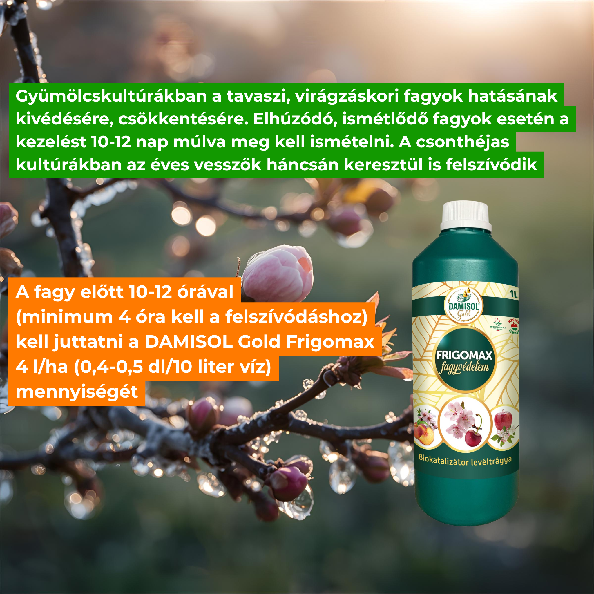 Damisol Gold Frigomax (fagyvédelem) 1 l