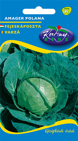 Cabbage Amager 2g