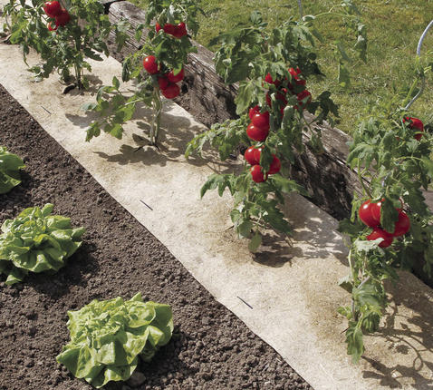 Talajtakaró 100 % természetes Nort Chanverlin 500 0,5x3 m