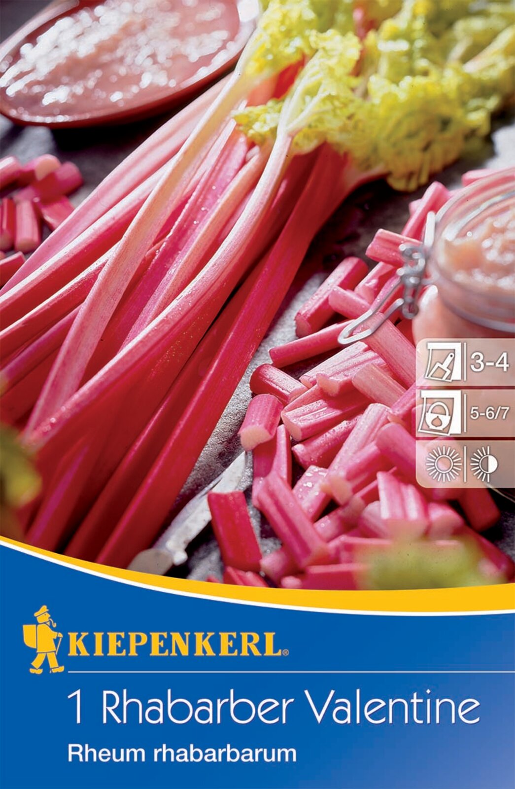 Rhubarb Valentine Kiepenkerl 1 plant