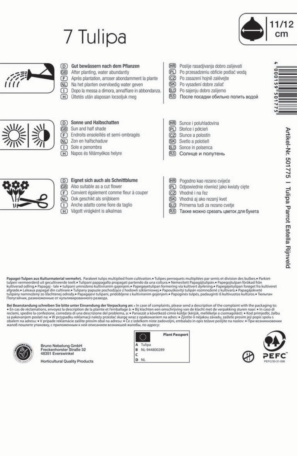 Virághagyma Tulipán papagájvirágú Estella Rijnveld 7 db Kiepenkerl