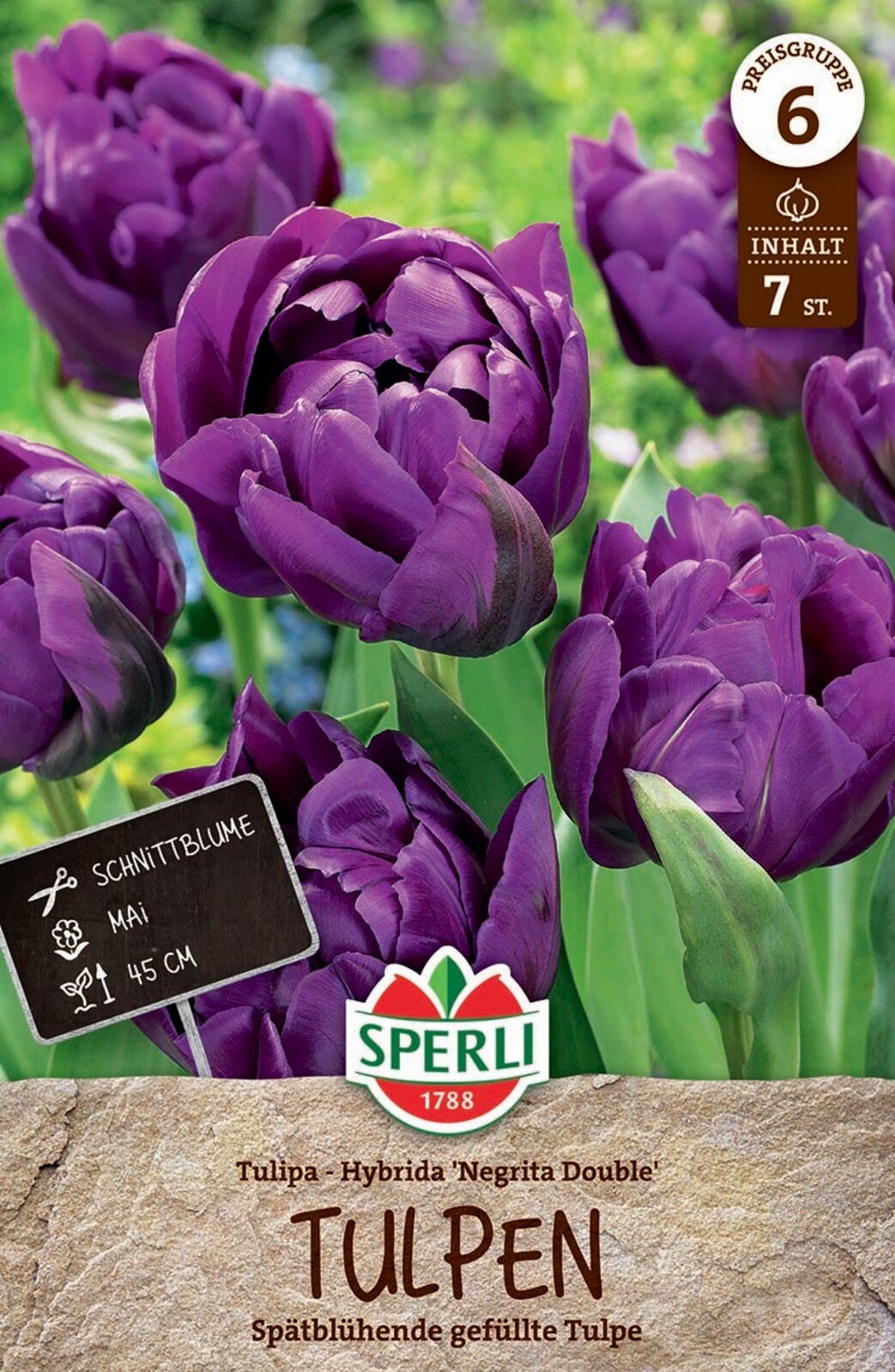 Virághagyma Tulipán teltvirágú Negrita Double 7 db Sperli