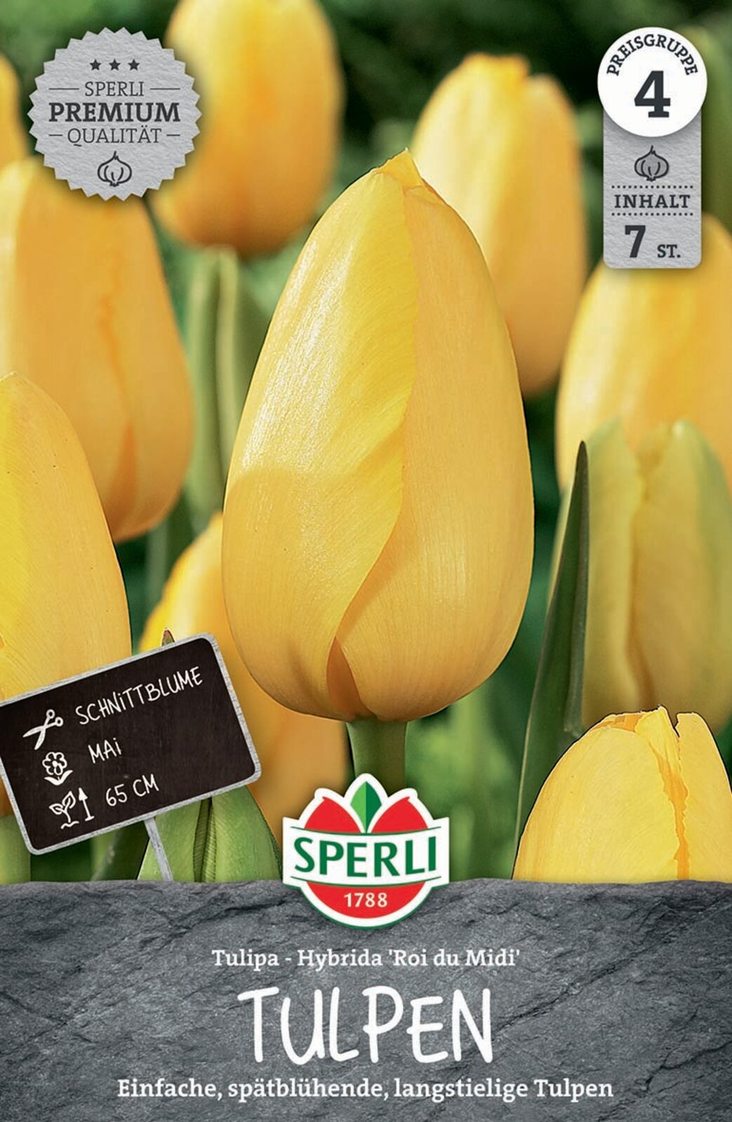 Virághagyma Tulipán Roi du Midi 7 db Sperli