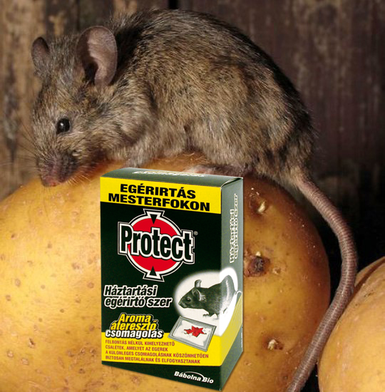 xProtect mouse killer bait 5x25g
