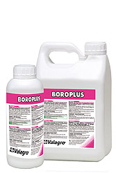 Boroplus 1 l