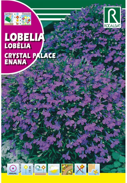 Lobélia Crystal Palace Rocalba 0,5 g