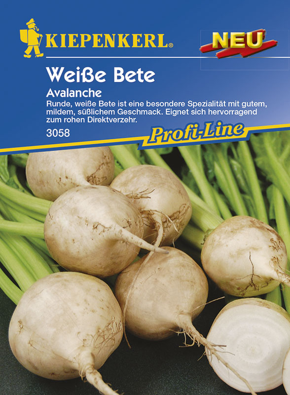 Beetroot white Kiepenkerl approx. 80 seeds
