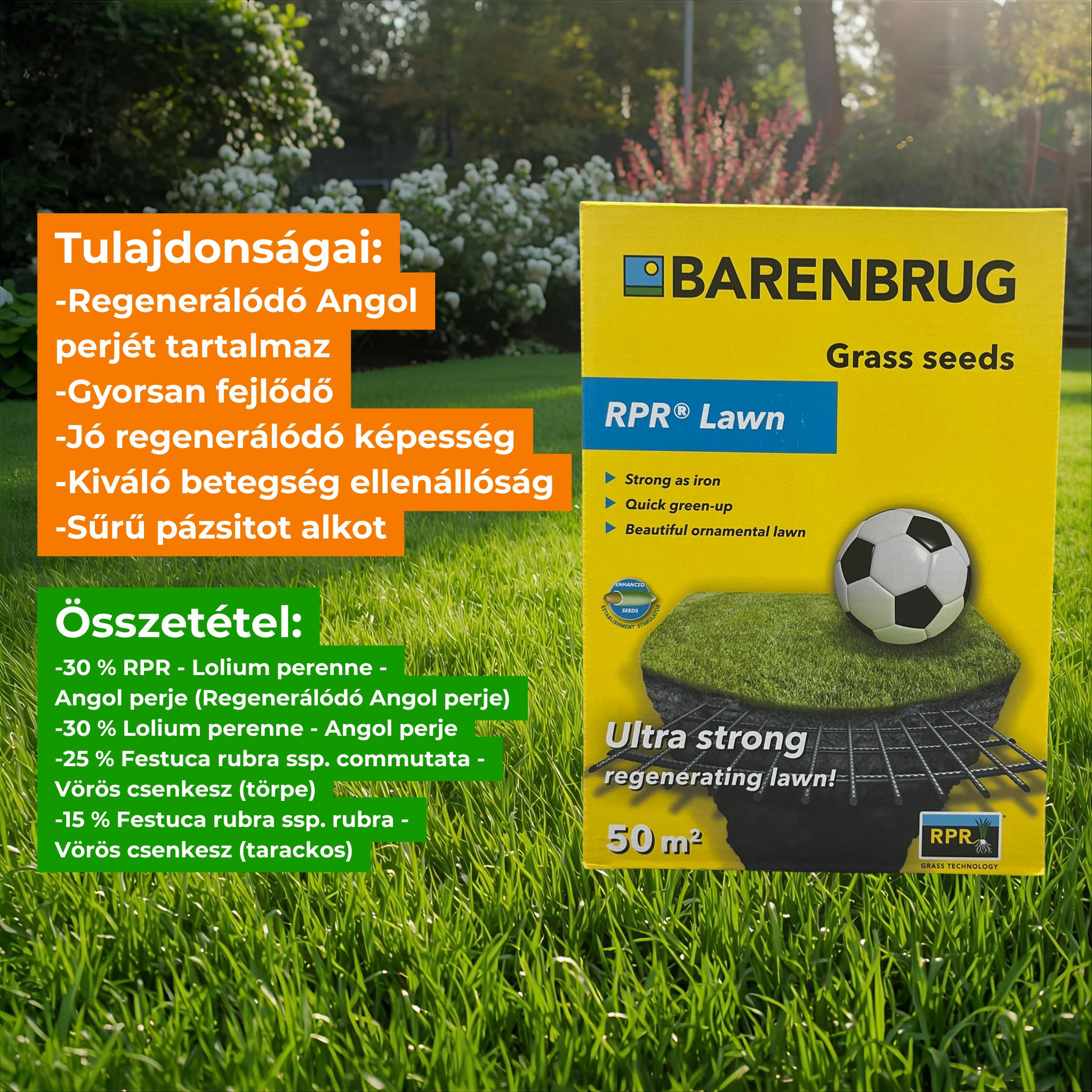 Fűmag Barenbrug RPR Lawn (sport) 1 kg
