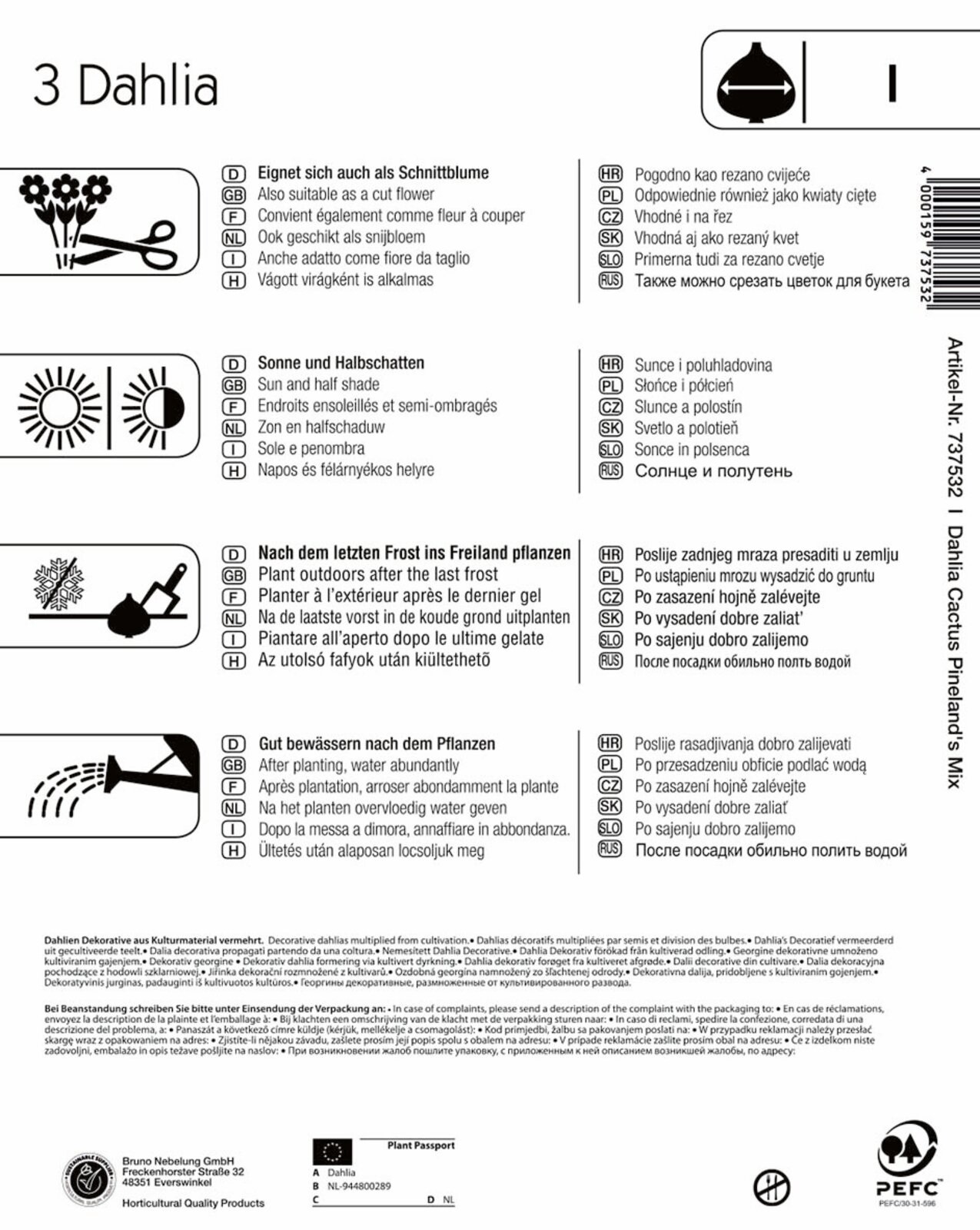 Dahlia bulb with fringes Pineland´s Mix Kiepenkerl 3 pcs