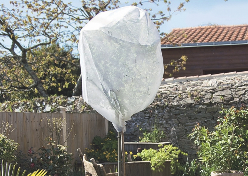 Overwintering felt Wintertex 30 30g/m2 2x10 m