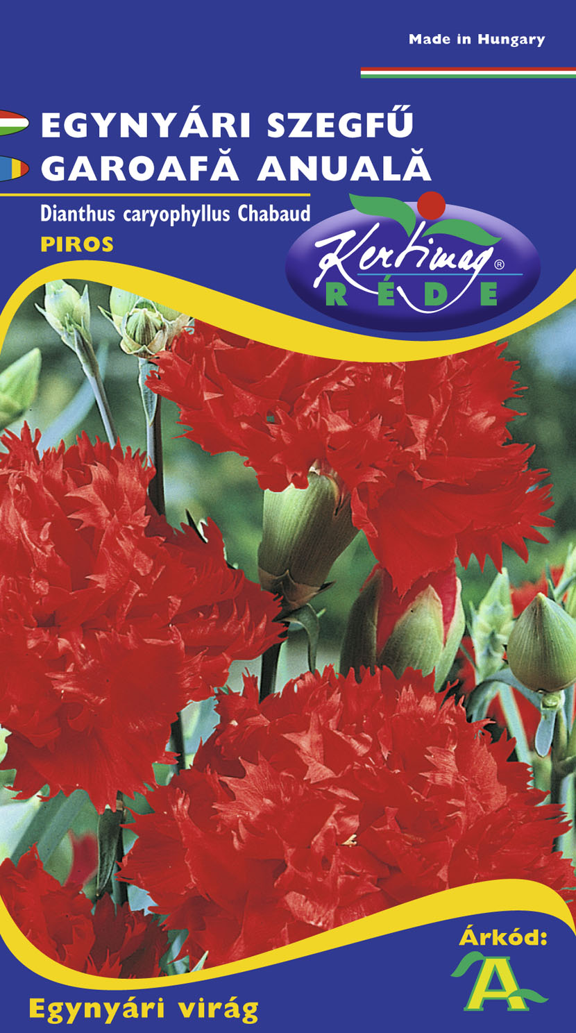Carnation red Chabaud A