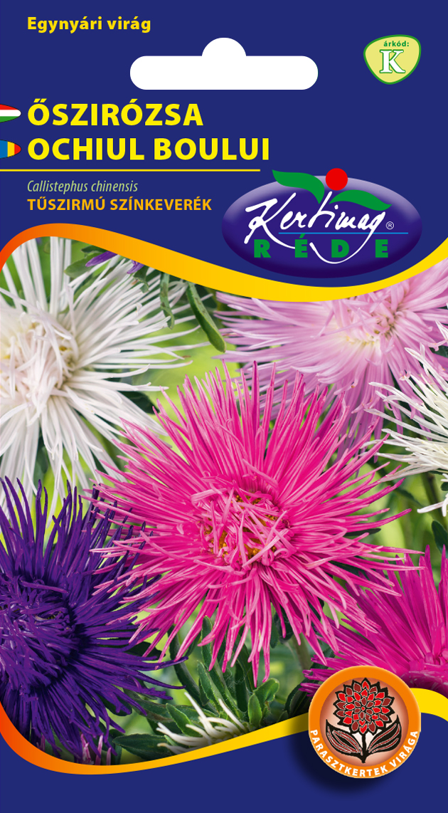 Őszirózsa Tűszirmú színkeverék 1g