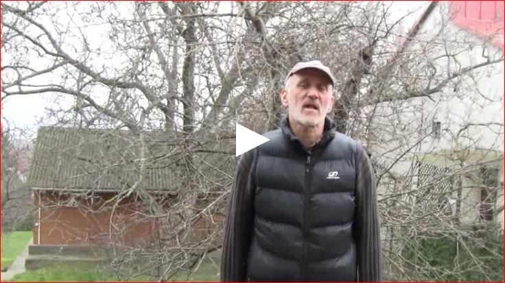 Kora tavaszi lemosó permetezés indítása - Zsigó György