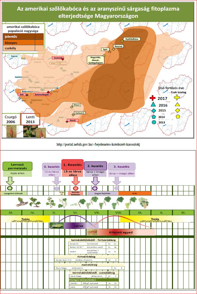 Zsigó György – Hasznos közlendők kertbarátoknak – 2017/21