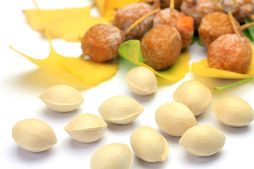 Dinoszaurusz fa Kínából