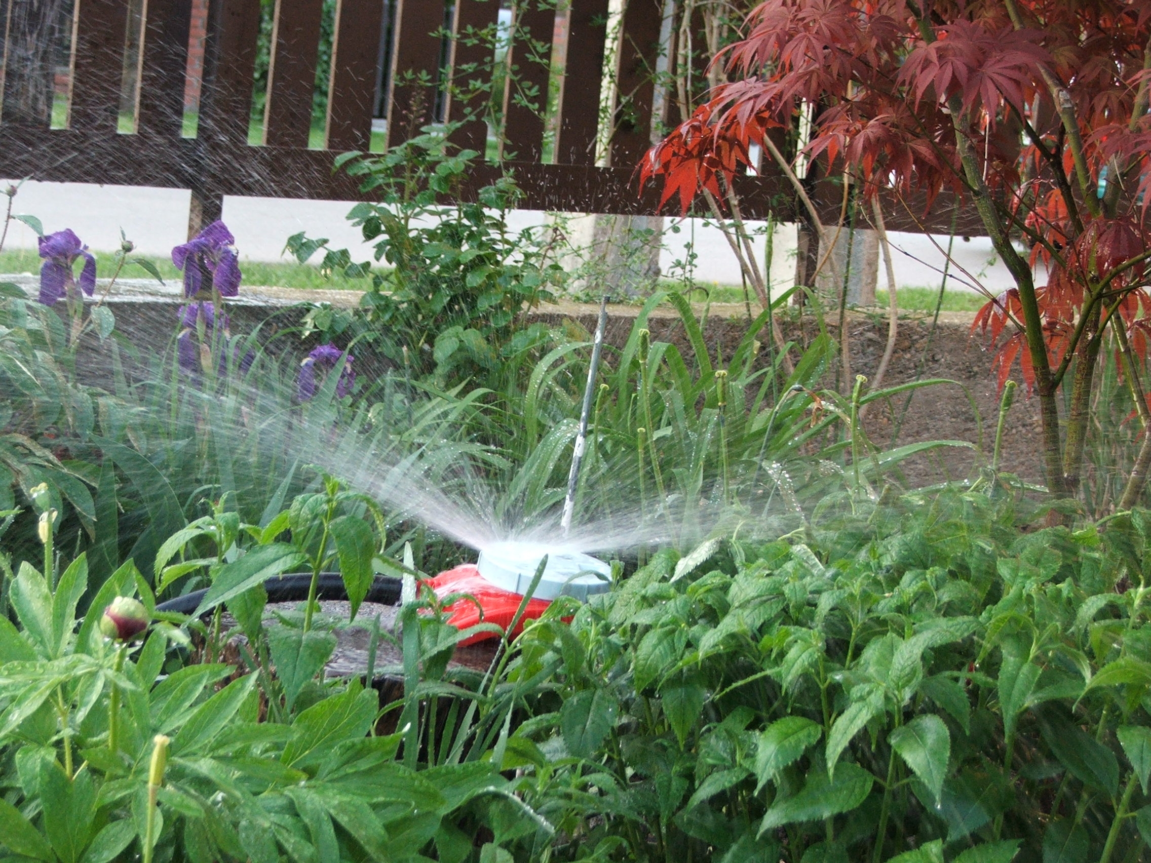 Kertmentő tippek hőségriadó és vízkorlátozás idejére