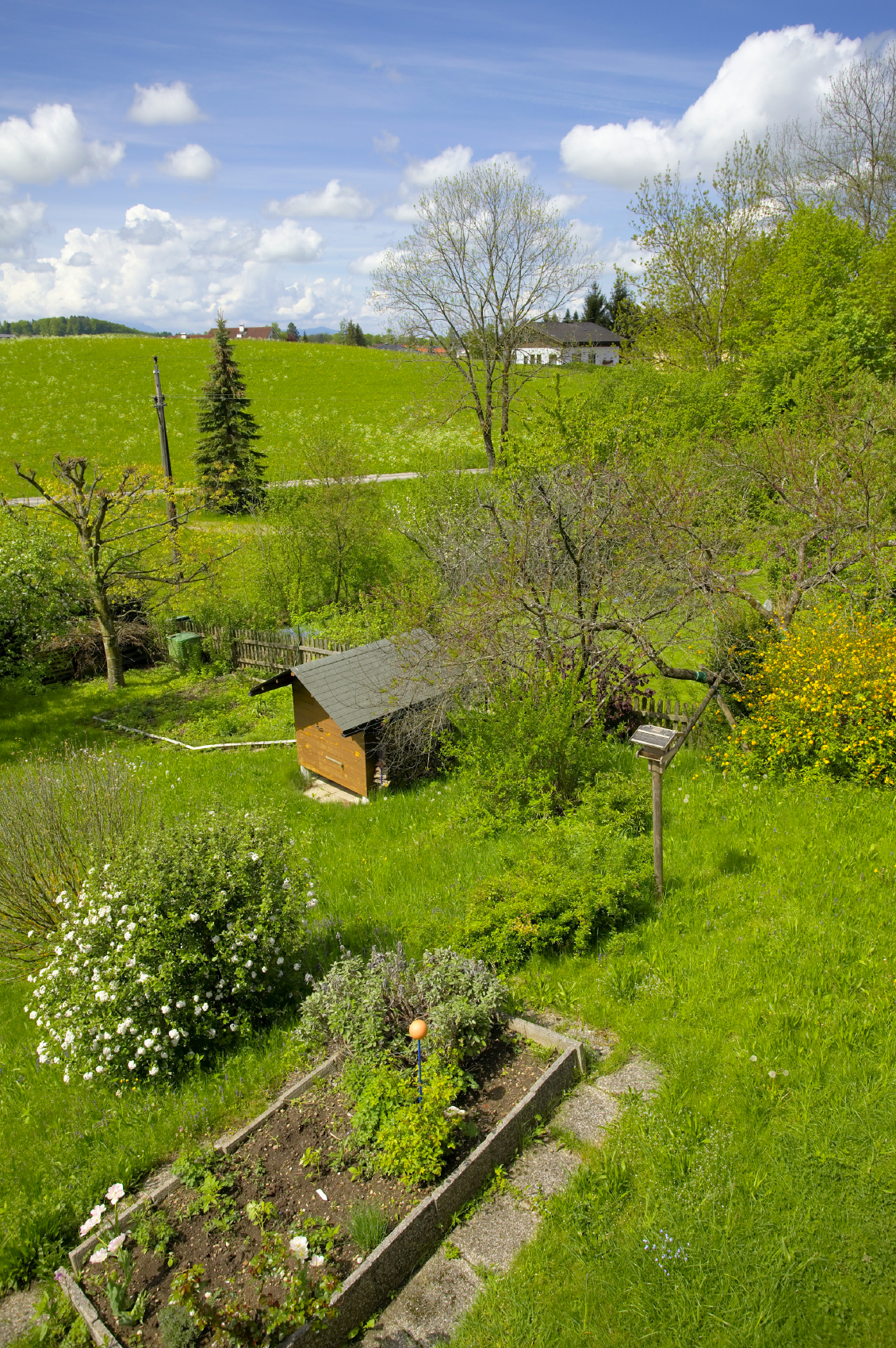 Fűnyírás spórolósan