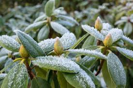 Ahol az árnyék az úr