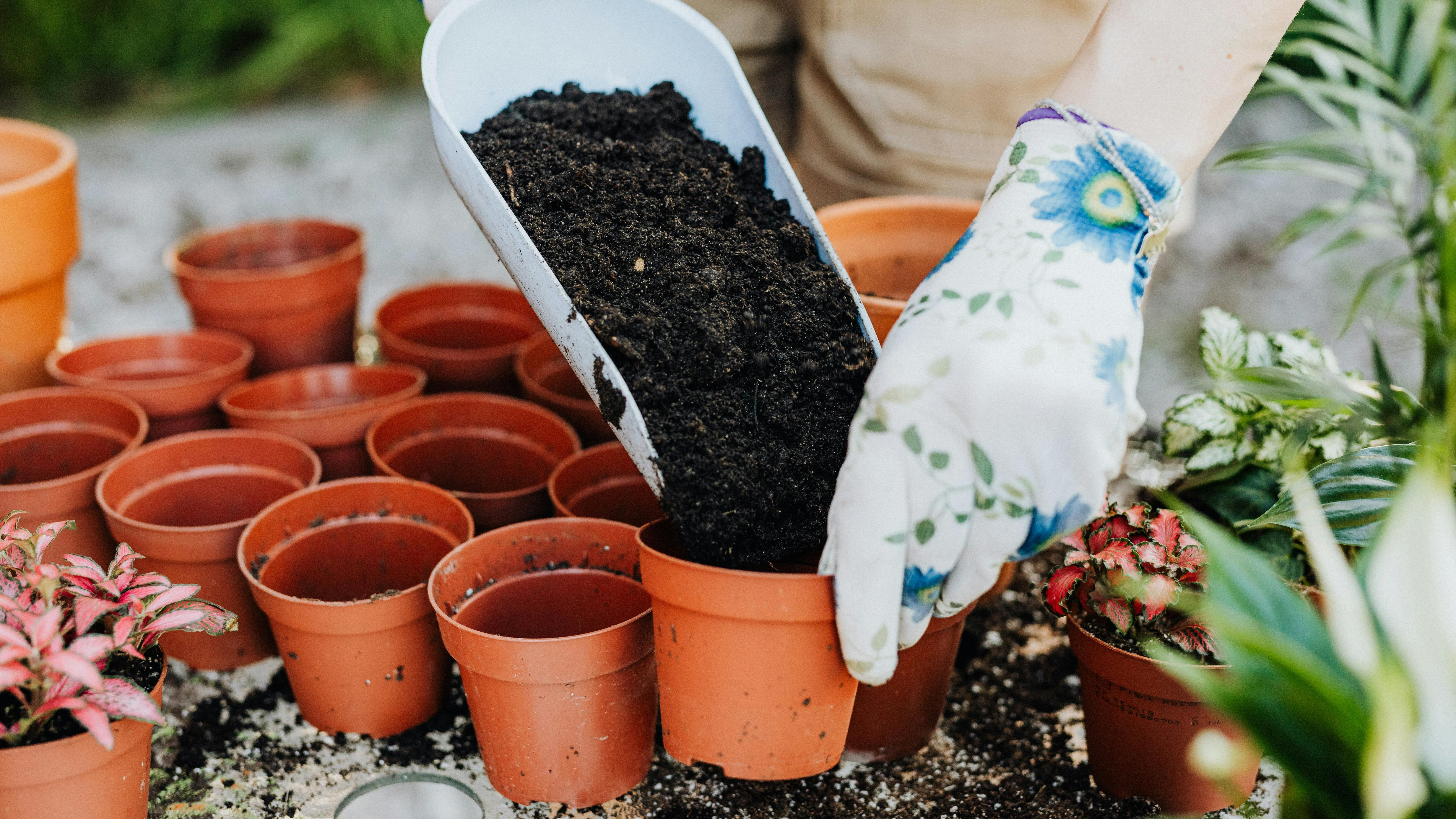 Tavaszi ültetés és műtrágyázás okosan