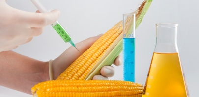 A génmódosított növények kockázatairól