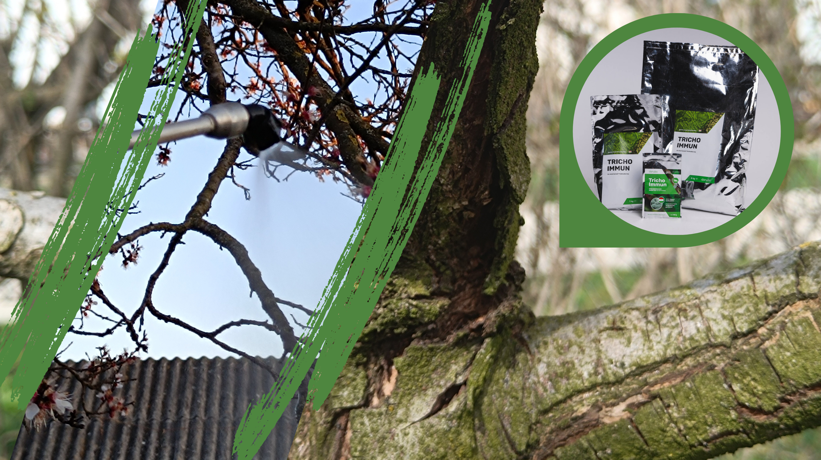 TIPP: Kora tavaszi immunizálás a természet erejével: Tricho Immun