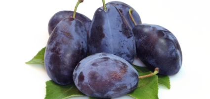 Szilvaműtrágyázás