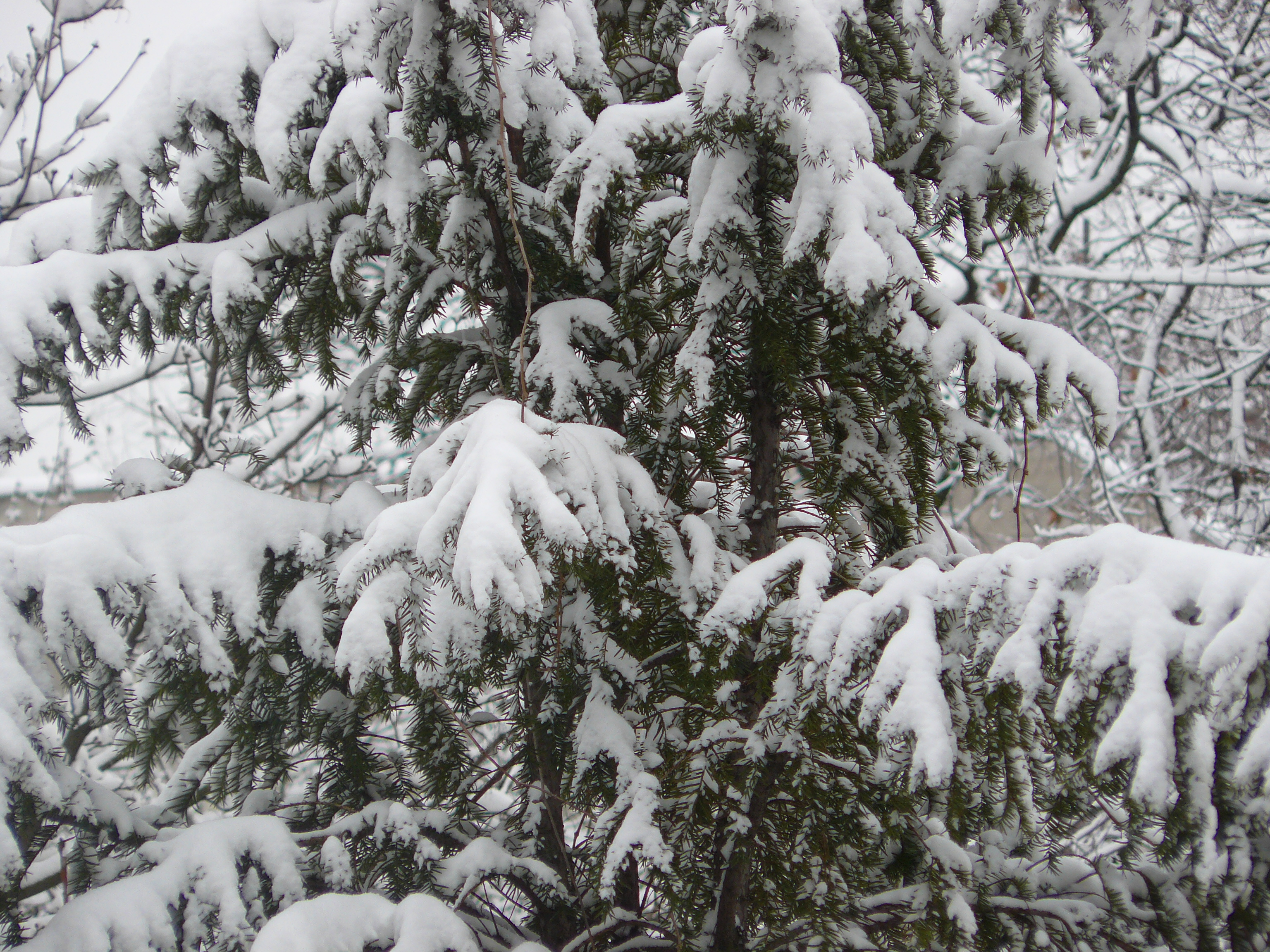 Ismét hó és mínuszok