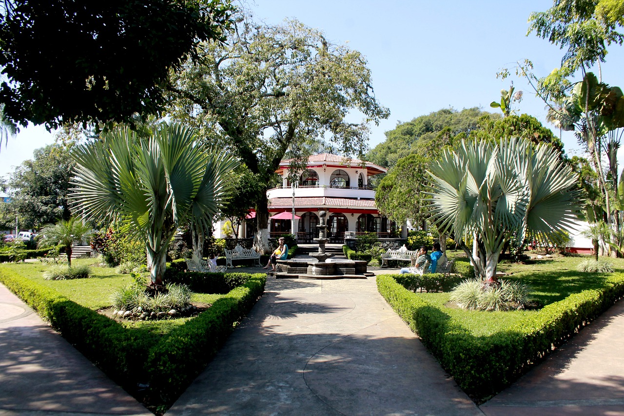 A kánikulában nyomulhatnak a pálmák