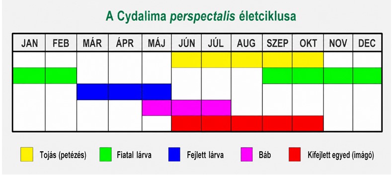 pm_eletciklus_BGY.jpg