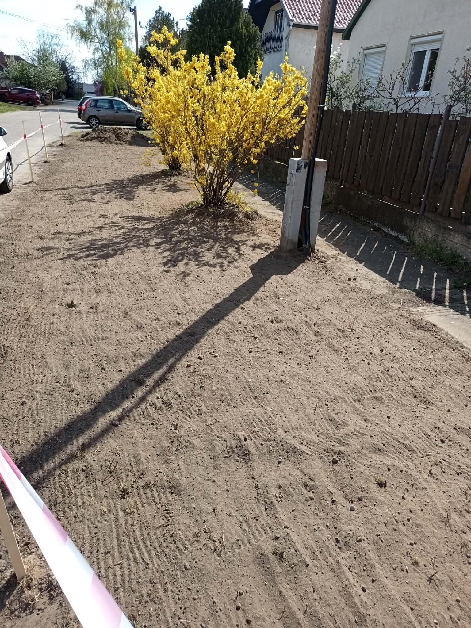 DSZ_gyepszonyeg3.jpg