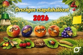 HETENTE FRISSÜL! Gyümölcskártevők országos csapdázási adatai – 2026