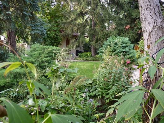 Ha kiugrott a fenyő a kertből…