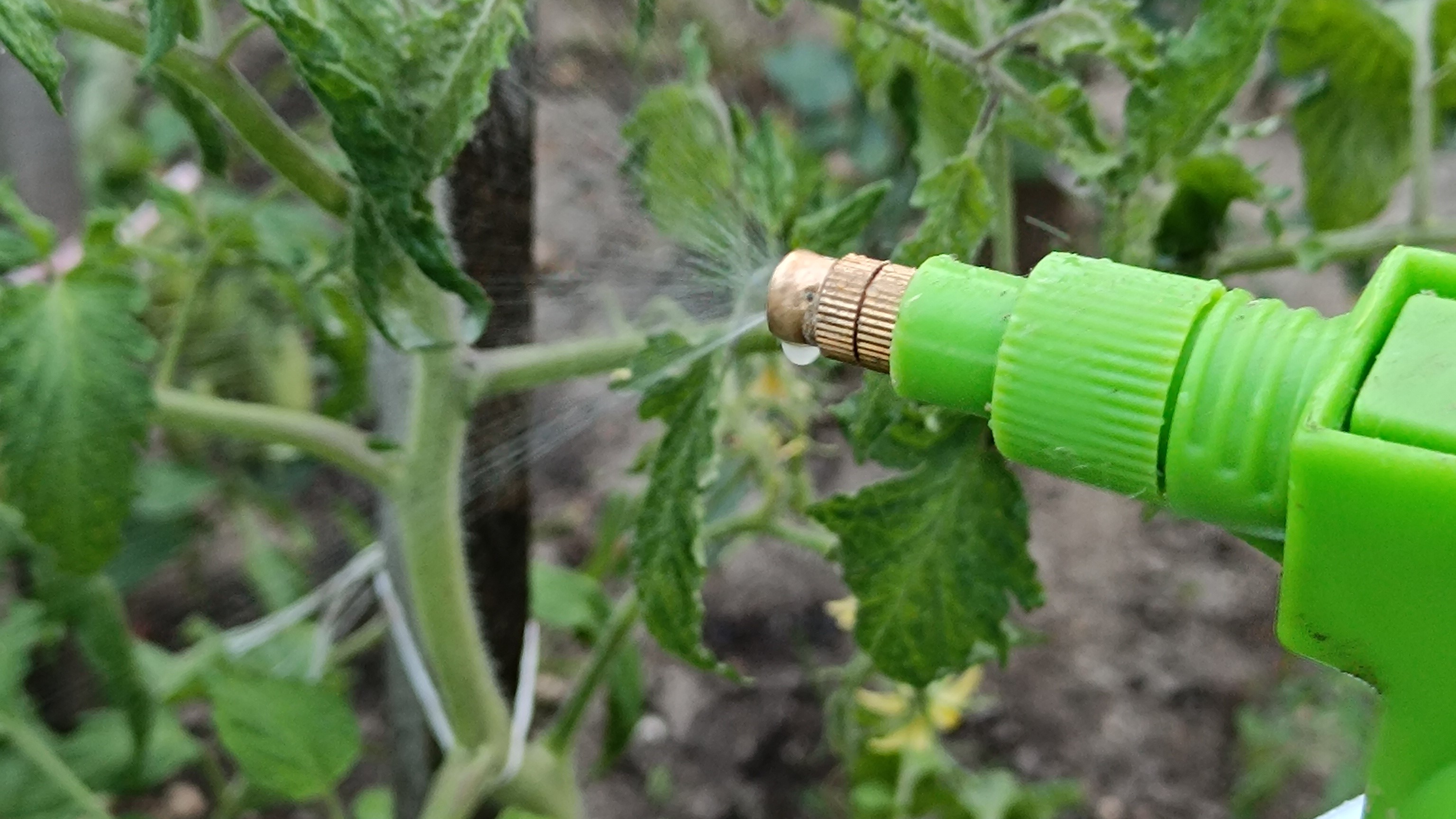 Biostimulátorokkal a stresszmentes kertért