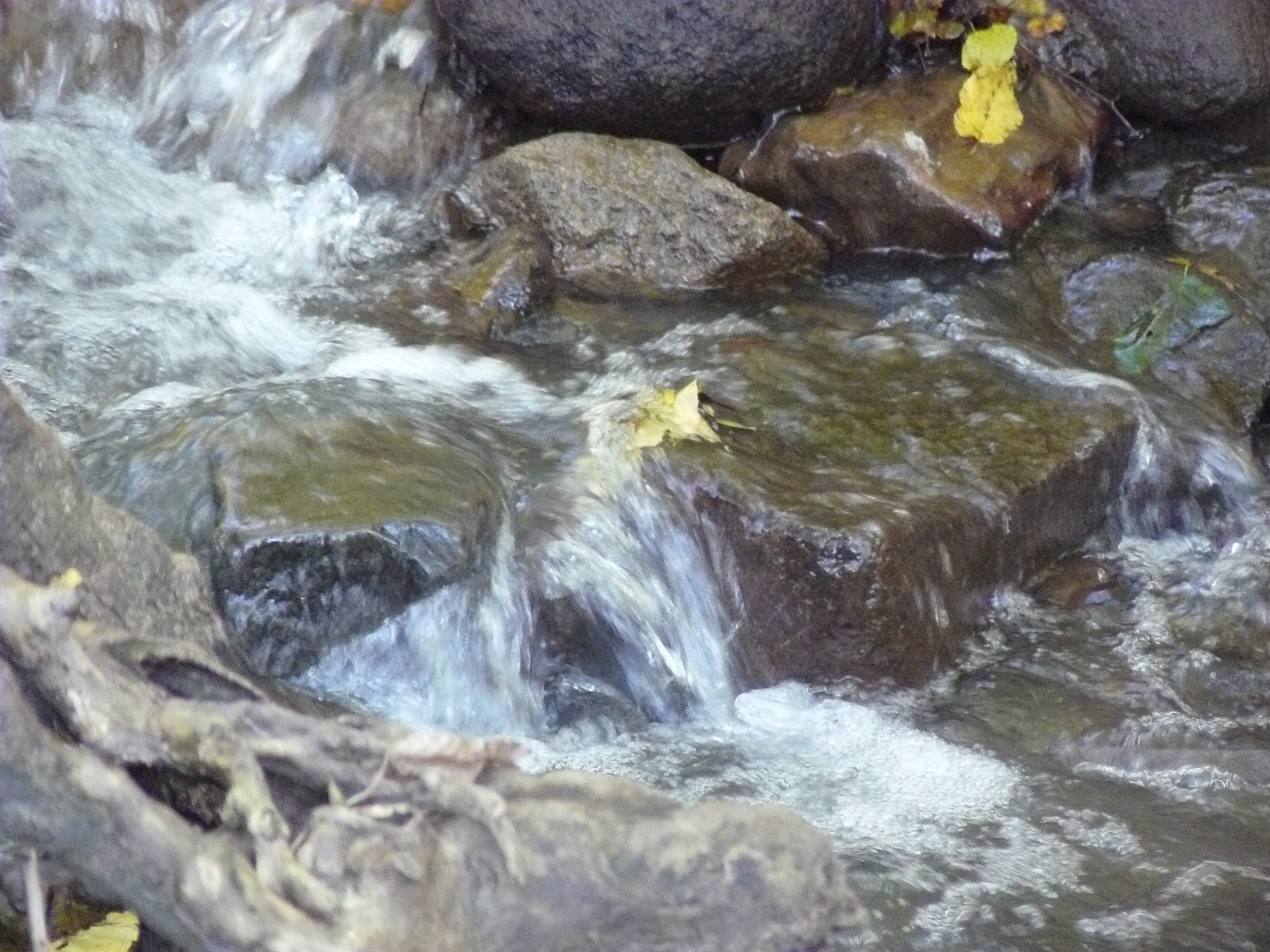 A növényvédő szerek csoportosítása /4