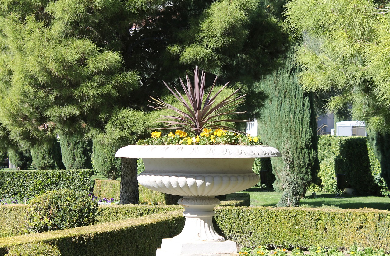 A kertátalakítás szoliterrel