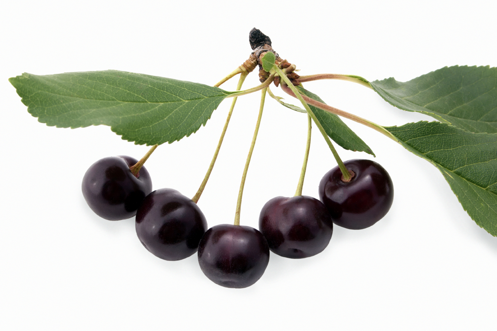 Luna Privilege új gombaölő permetező szer